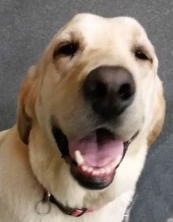 323-15 ROSIE PROFILE